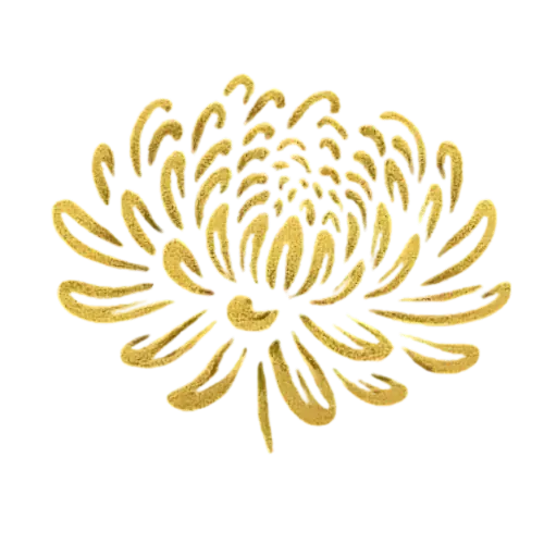 Pompes Funèbres Chrysanthème